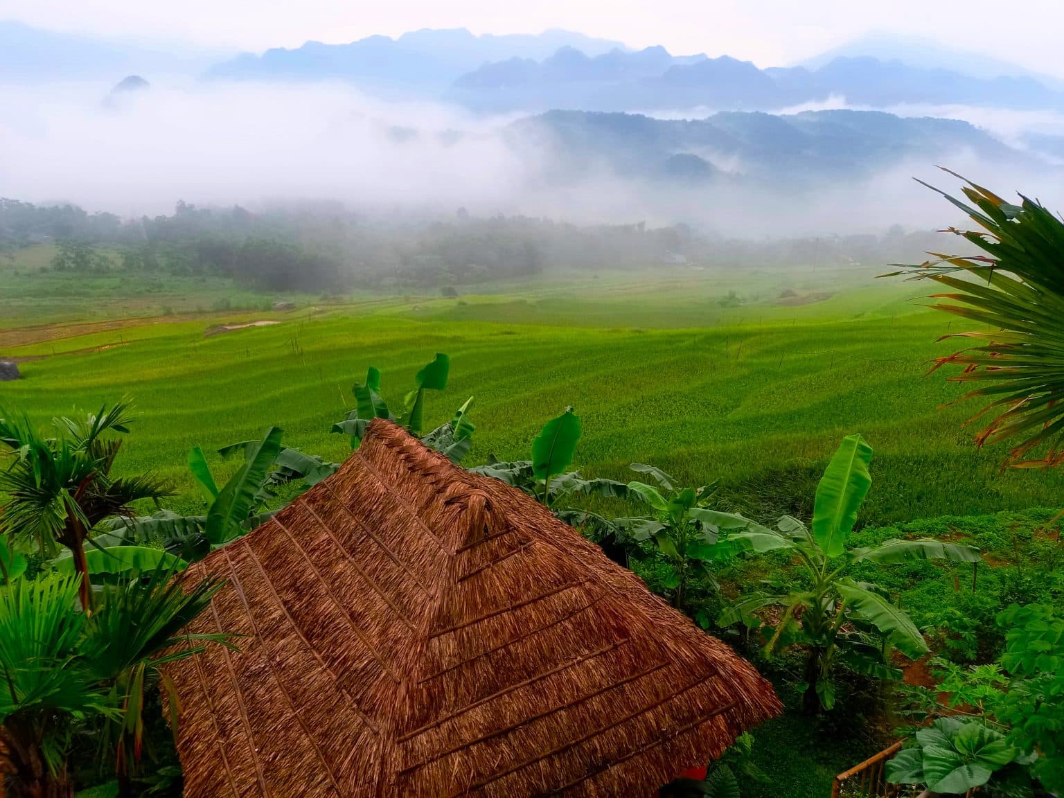 Pu Luong Nature Reserve Travel Guide