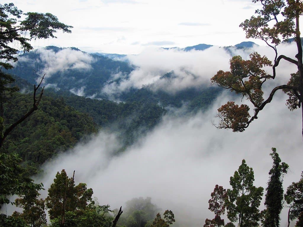 Hoi An Danang Hue by Motorbike